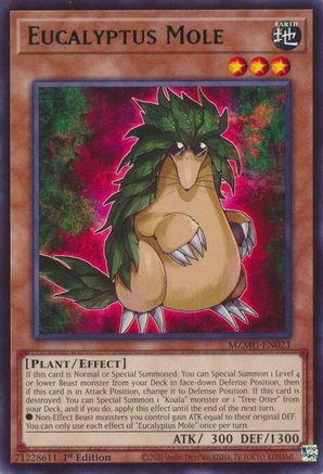 Eucalyptus Mole [MZMU-EN021] Rare 1st Edition