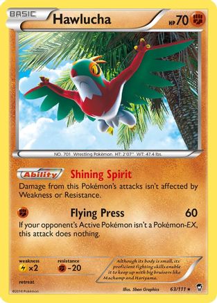 Hawlucha - 63/106 [XY - Furious Fists] Holofoil