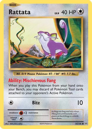 Rattata - 66/108 [XY - Evolutions]