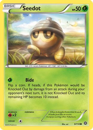 Seedot - 9/114 [XY - Steam Siege]